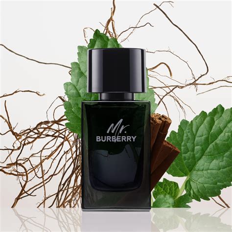 mr burberry opiniones|mr burberry eau de parfum.